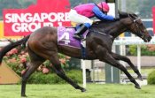 Jose Verenzuela guides Flax to victory in the Group 1 Raffles Cup.<br>Photo by Singapore Turf Club